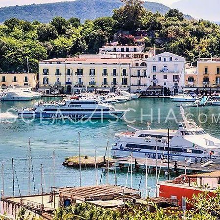 La Casa Di Antonia Apartment Ischia Ngoại thất bức ảnh